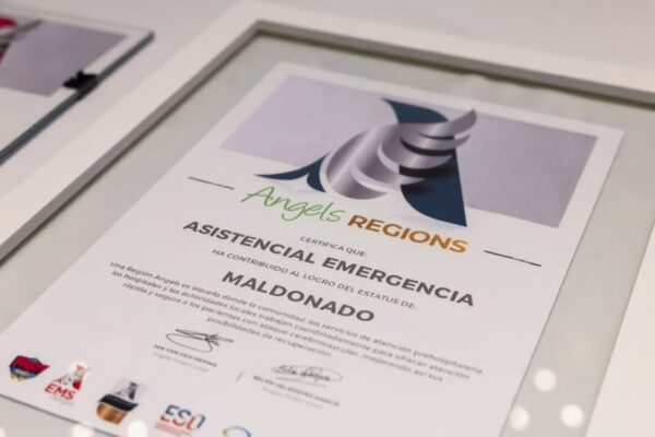 SaveGram.App_655228931_18308291500276669_4341407871473482517_n (Mediano)